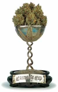 Cannabis Cup
